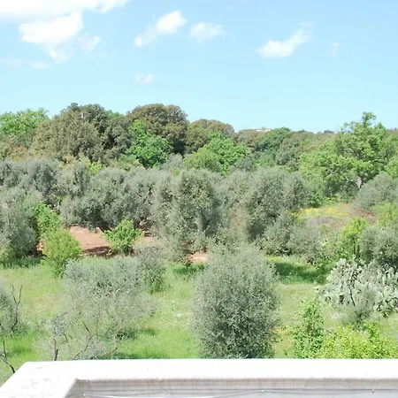 Mediterranea *